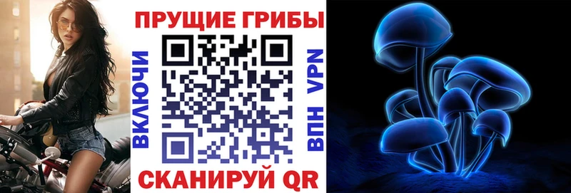купить наркотики цена  Верхоянск  Галлюциногенные грибы ЛСД 